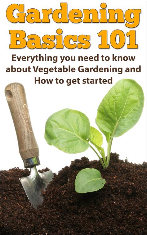 gardening basics 101 everything you need to know about vegetable gardening and how to get started Reader