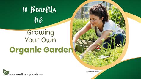 gardening for beginners discover and explore the benefits of building your own organic garden Doc