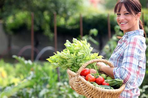 gardening the best gardening techniques for a bountiful harvest grow your own food and save money farming Epub