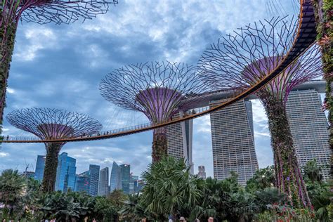 gardens by the bay and marina bay sands