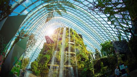 gardens by the bay cloud forest opening hours