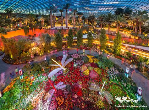 gardens by the bay events today