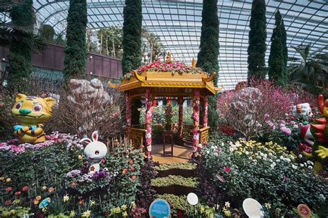 gardens by the bay in chinese