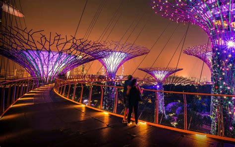 gardens by the bay night light