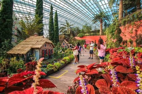 gardens by the bay opening hours flower dome