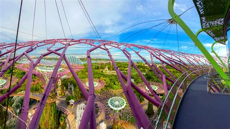 gardens by the bay supertree observatory