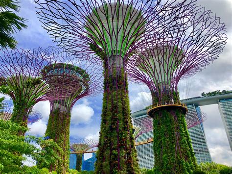 gardens by the bay to marina bay sands