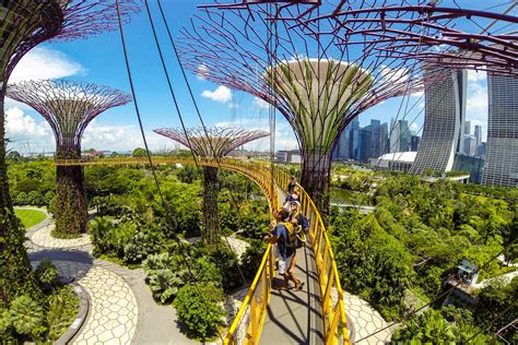 gardens by the bay walk of lights