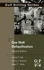 gas well deliquification second edition gulf drilling guides Epub