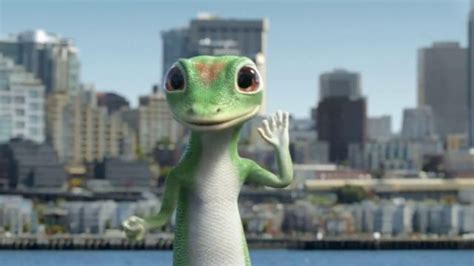 geico is not an iguana he is a gecko