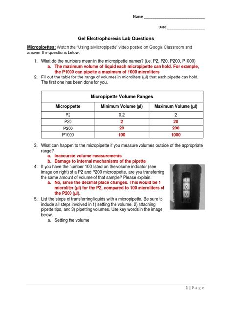 gel electrophoresis lab question answers Epub