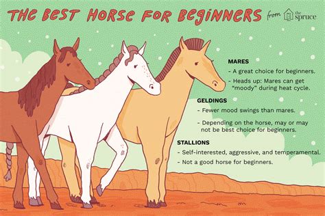 gelding for beginners Epub
