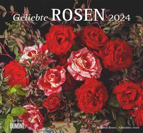 geliebte rosen 2016 dumont kalenderverlag PDF