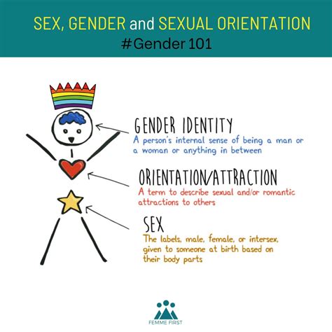 gender sex and sexuality gender sex and sexuality Kindle Editon