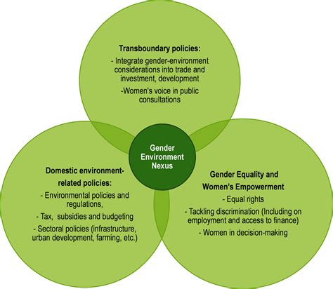 gender water and development cross cultural perspectives on women Doc