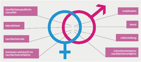 gendershift zukunft geschlechterrollen wirtschaft gesellschaft Epub