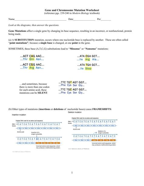 gene and chromosome mutation worksheet answer key Reader