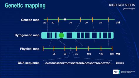 gene mapping outlook