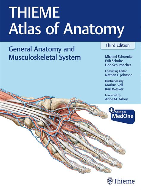 general anatomy and musculoskeletal system thieme atlas of anatomy Doc