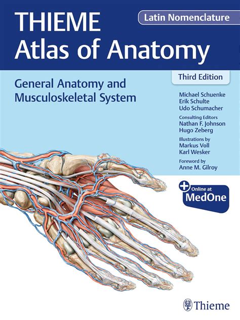 general anatomy and musculoskeletal system thieme atlas of anatomy Doc