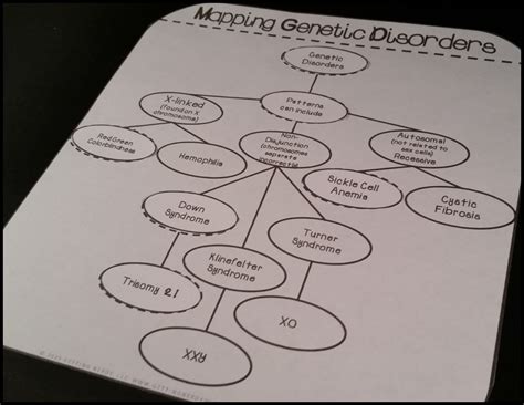 genetic disorders concept mapping answers key Epub