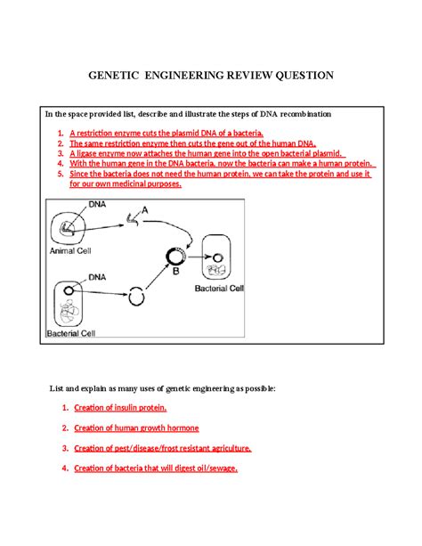 genetic engineering review answers Reader