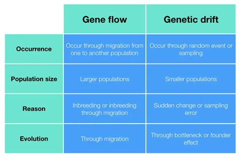 genetic flow vs drift