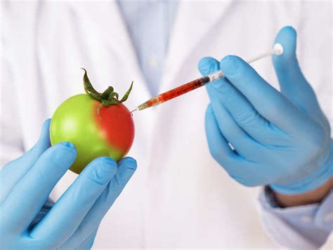 genetic modification and food quality a down to earth analysis Doc