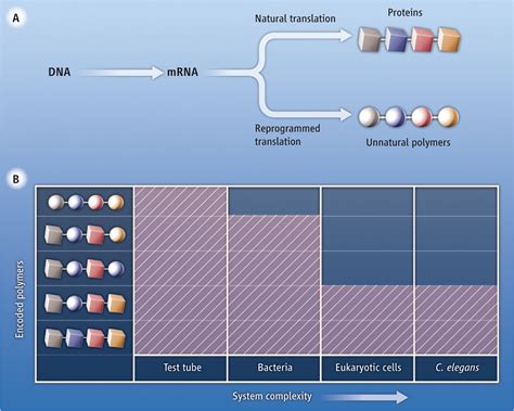 genetic reprogramming