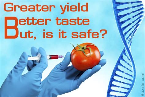 genetic technology food safety comparatum Kindle Editon