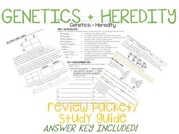 genetics and heredity review packet answer Reader