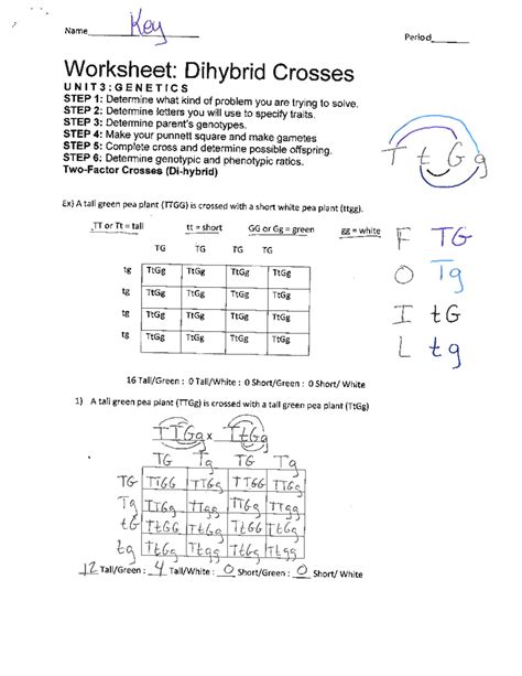 genetics dihybrid cross and pedigree answer key Reader
