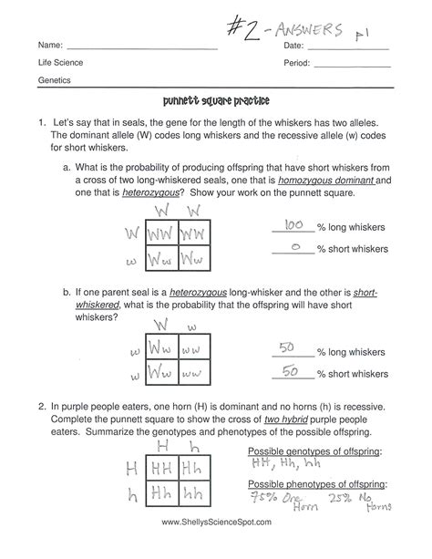 genetics punnett square practice packet answers Kindle Editon