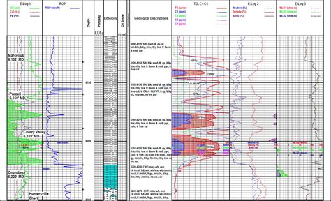 geological well logs geological well logs Reader