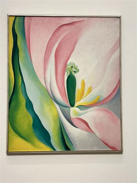 georgia okeeffe museum collection Kindle Editon