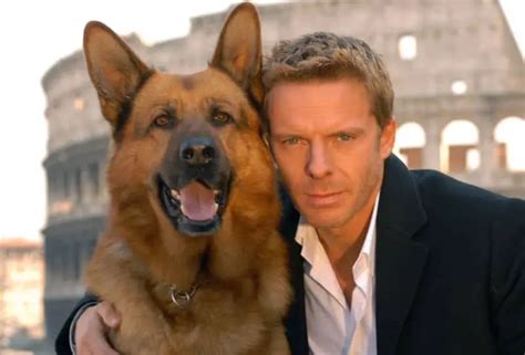 german shepherd movie