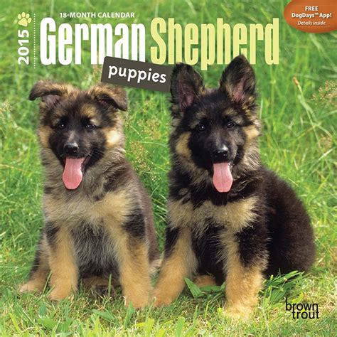 german shepherd puppies 2015 mini 7x7 multilingual edition Doc