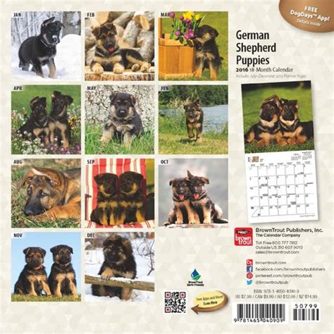 german shepherd puppies 2016 mini 7x7 PDF
