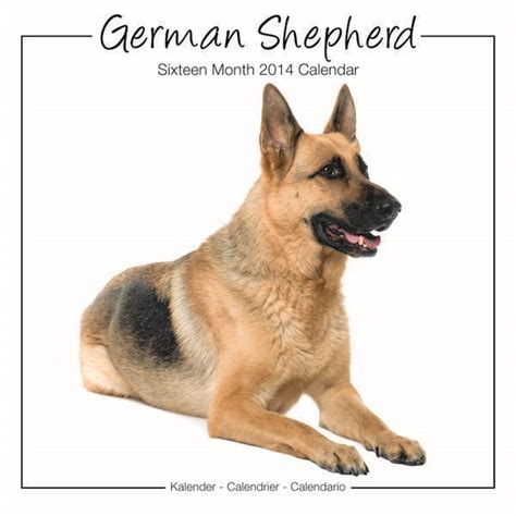 german shepherds 2014 calendar Doc