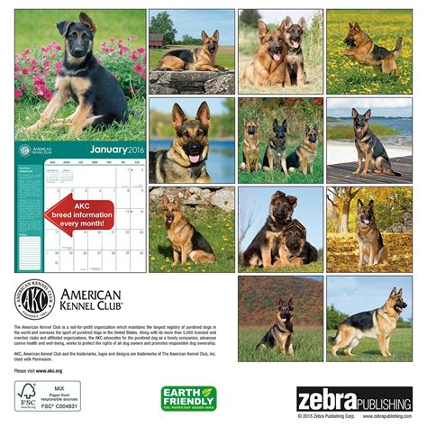 german shepherds american kennel club 2016 wall calendar Epub