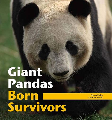 giant pandas born survivors Doc
