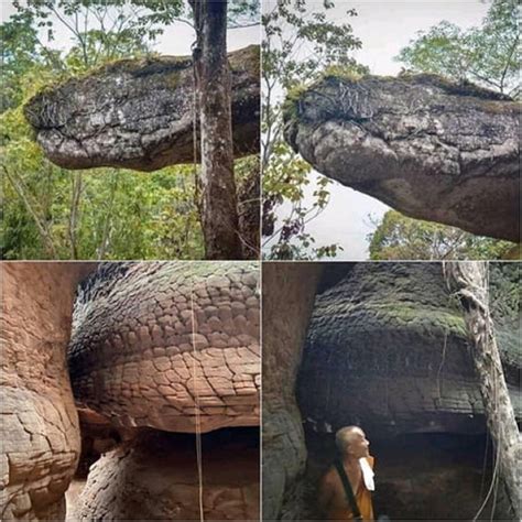 giant snake rock