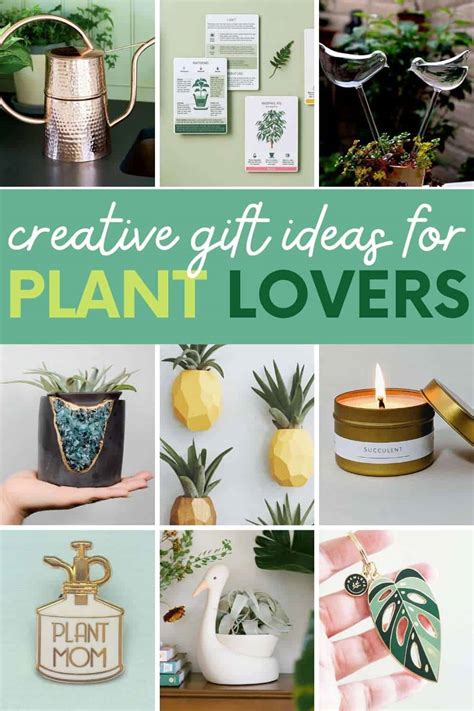 gift for plant lover