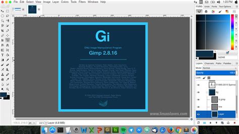 gimp user manual download mac PDF