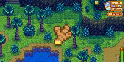 ginger stardew