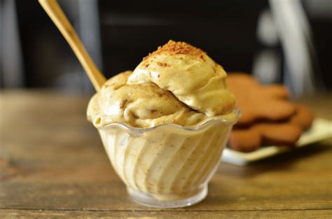 gingerbread ice cream