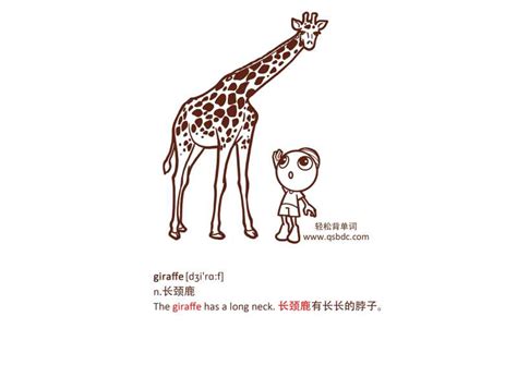 giraffe 中文