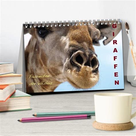 giraffen faszination wandkalender nat rlichen monatskalender Epub