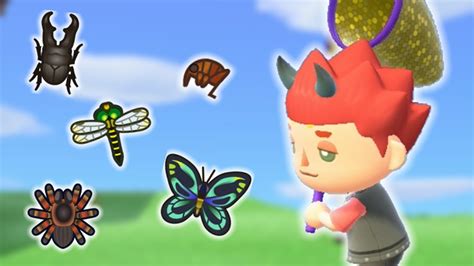 give a bug to a friend animal crossing