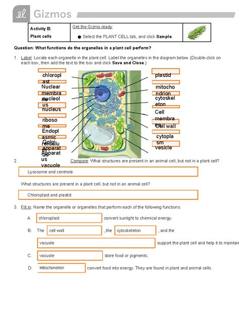 gizmo cell structure answers Reader